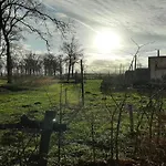 Spacious In Near Forest Dom wakacyjny Oirschot