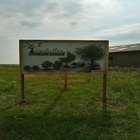 Tatil Evi Spacious In Oirschot Near Forest *