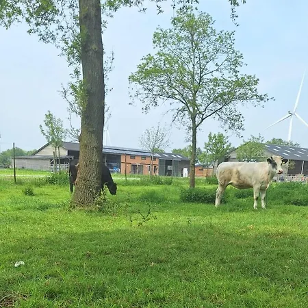 Spacious In Oirschot Near Forest Tatil Evi *