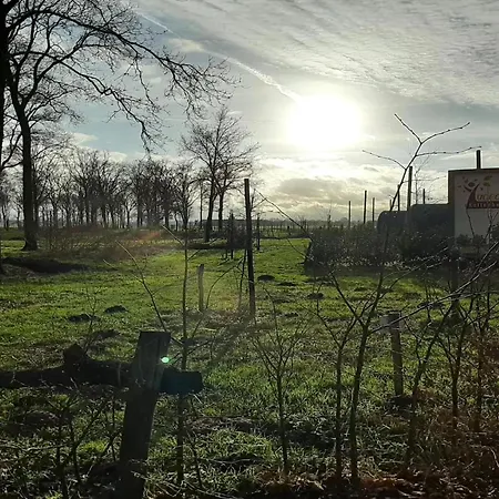 Spacious In Oirschot Near Forest Tatil Evi Haghorst