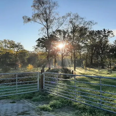 Spacious In Near Forest Semesterbostad