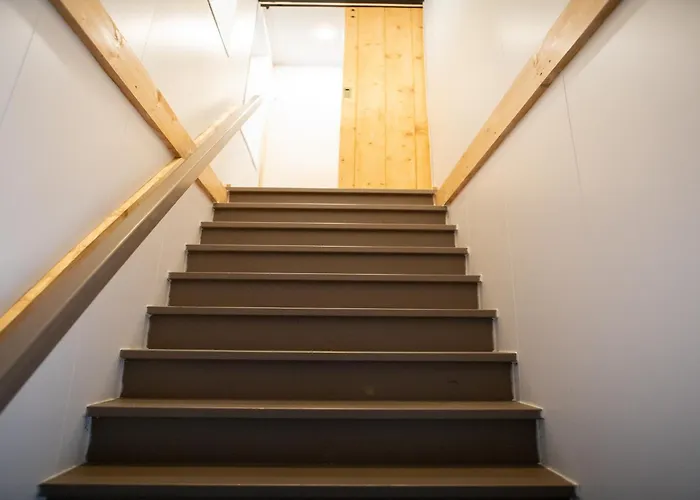 Spacious In Near Forest *