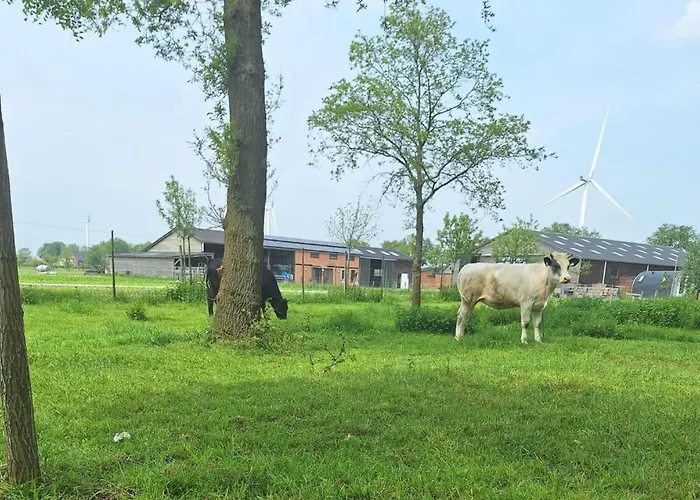 Spacious In Oirschot Near Forest Σπίτι διακοπών *