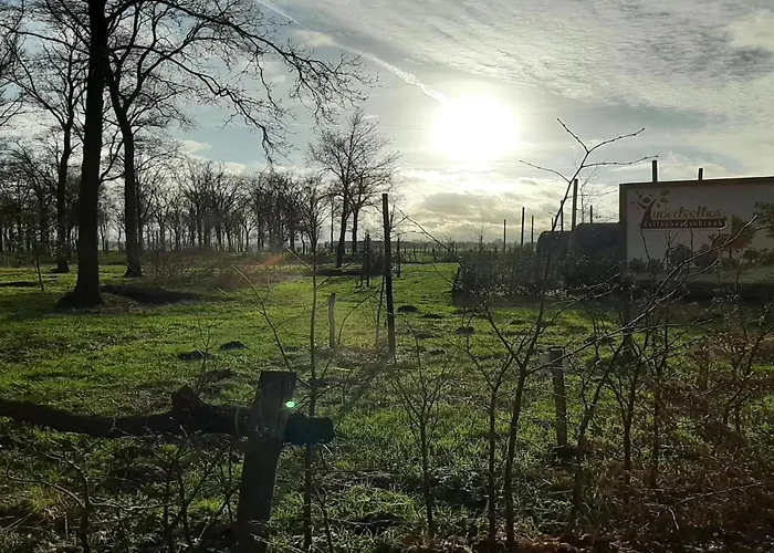 Spacious In Oirschot Near Forest Σπίτι διακοπών Oirschot