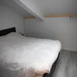Spacious In Near Forest
